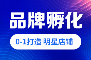 京东代运营 京东代运营